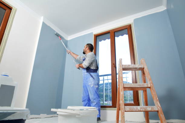 Best Mold Prevention Services  in Lima, OH