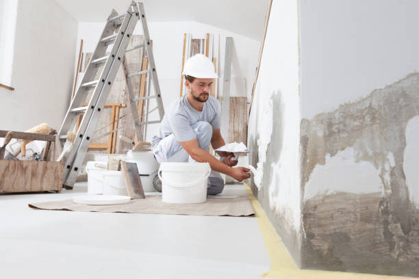 Best Crawl Space Mold Remediation  in Lima, OH