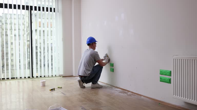 Best Black Mold Removal  in Lima, OH