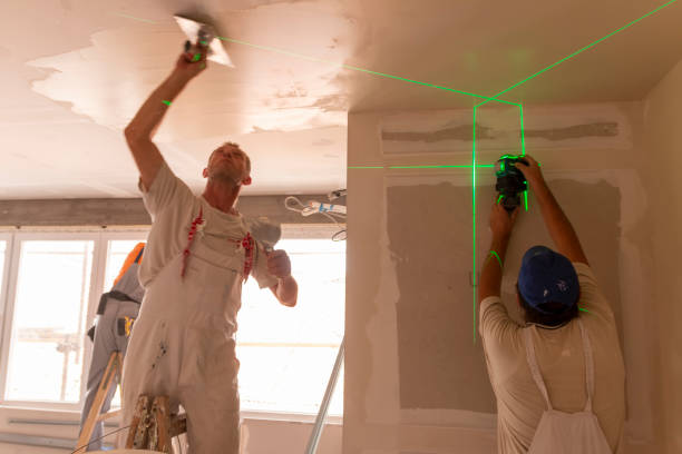 Best Emergency Mold Remediation  in Lima, OH