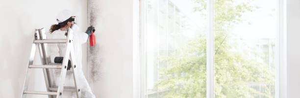 Best Post-Construction Mold Inspection  in Lima, OH