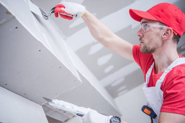 Best Real Estate Mold Inspection  in Lima, OH